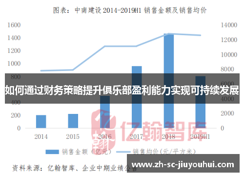 如何通过财务策略提升俱乐部盈利能力实现可持续发展