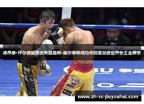 德昂泰·怀尔德复赛击败路易斯·奥尔蒂斯成功夺回重量级世界拳王金腰带 德昂泰·怀尔德复赛击败路易斯·奥尔蒂斯成功夺回重量级世界拳王金腰带
