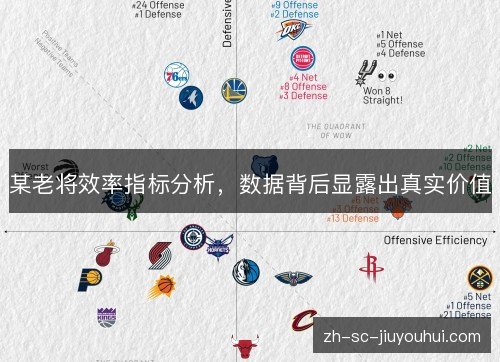 某老将效率指标分析,数据背后显露出真实价值 某老将效率指标分析,数据背后显露出真实价值
